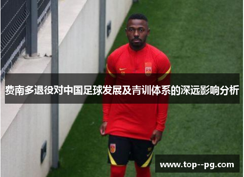费南多退役对中国足球发展及青训体系的深远影响分析