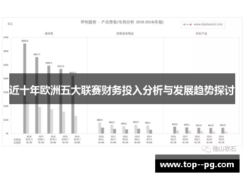 近十年欧洲五大联赛财务投入分析与发展趋势探讨