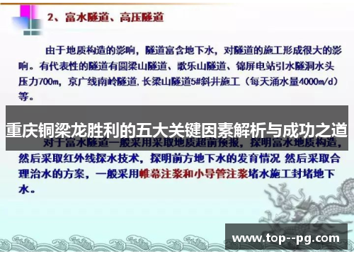 重庆铜梁龙胜利的五大关键因素解析与成功之道