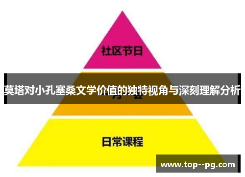莫塔对小孔塞桑文学价值的独特视角与深刻理解分析