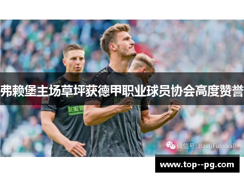 弗赖堡主场草坪获德甲职业球员协会高度赞誉 弗赖堡主场草坪获德甲职业球员协会高度赞誉